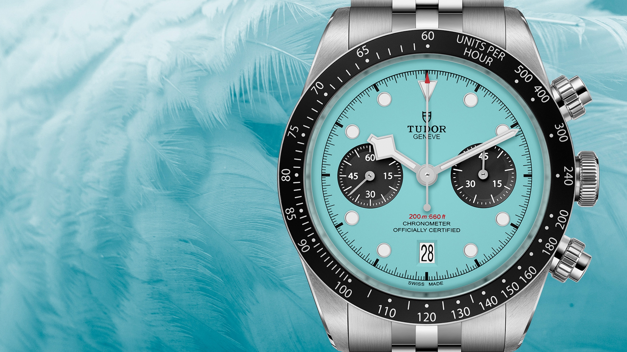 Tudor - Flamingo Blue